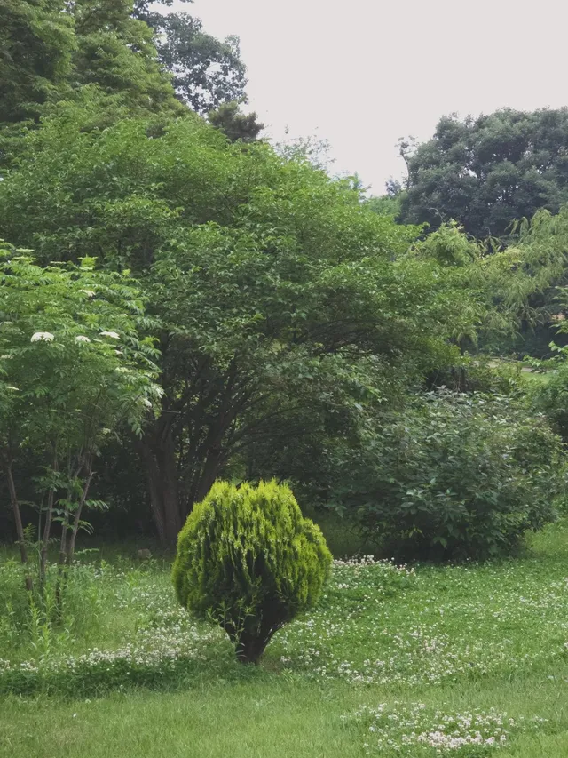 🌳🌳🌳

26년5월27일

#올림픽공원 
#나홀로나무
 

울적하고 
답답할땐

산 ⛰️ 대신
올림픽공원이 있어 
다행이다♡

막  걸어도