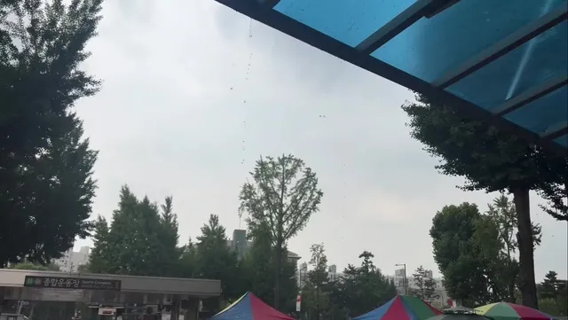 실시간 잠실..
소나기겠지?ㅠㅠ 부산에서 왔다고!!😭😭😭
