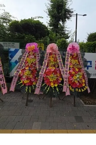 좋은 분들과 함께 돈을 모아 배재고 정문앞에 응원화환을 보냈어요! 배송기사 아저씨가 보내주신 사진이라 화질이 좀 흐리지만, 어쨌든 너무 기쁜 마