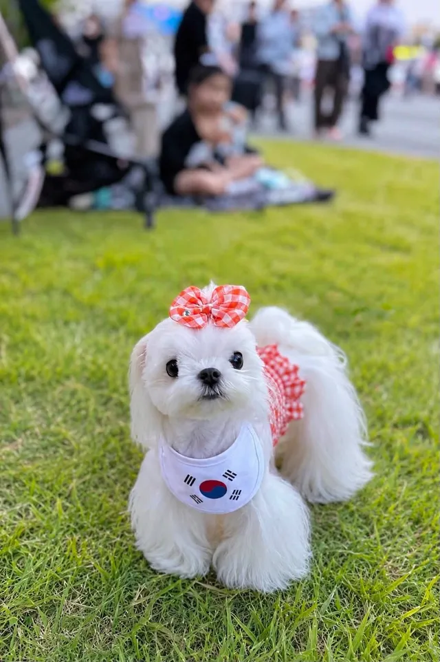 아직 끝난게 아니다 진짜 시작은 지금부터!!
자유민주주의를 지키기 위해
올공에 더 많은 애국시민들이 모일거야! 멸공🇰🇷🇱🇷🫡