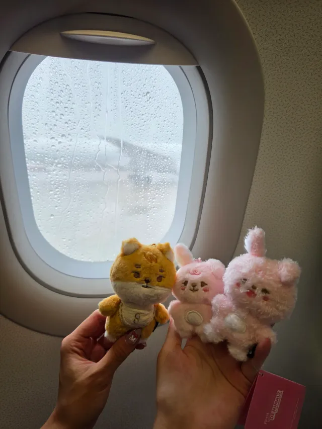 간다 ㅎㅎ ✈️