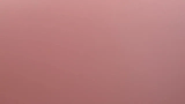 지금 올공 무슨 상황이냐