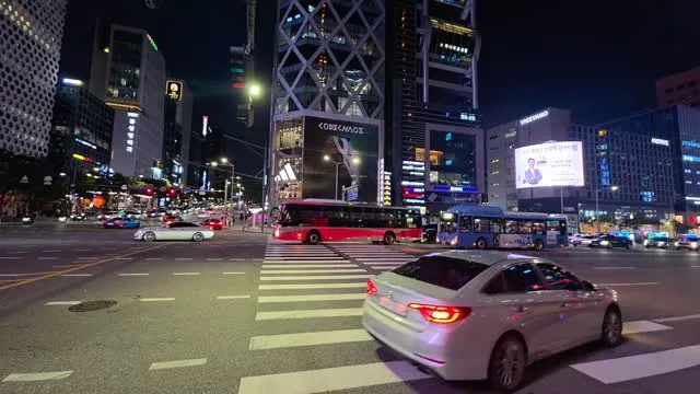 횡단보도 신호 기다릴 때도, 건널 때도 
쉬지 않고 "부정선거 재선거 당일투표 수개표"
응원해주신 시민분들 감사합니다.