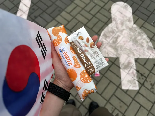 저녁 7시부터 다음날 오전 8시까지
열심히 구호 외치다 아침까지 먹고 집으로 갑니다
주말 올공 잘 부탁해요! 멸공🫡🇰🇷🇺🇸