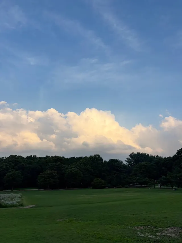 올공 느좋st