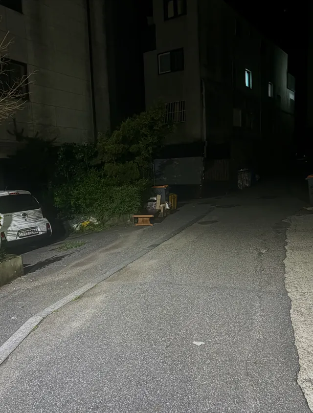 부정선거 재투표 팻말 주수려고 재활용통에 걸어가는데 UBC 동창생 나체  귀신이 얼굴만 있는@귀신가 지나가서, 주님께서 예수 재림때를@알려주셨는