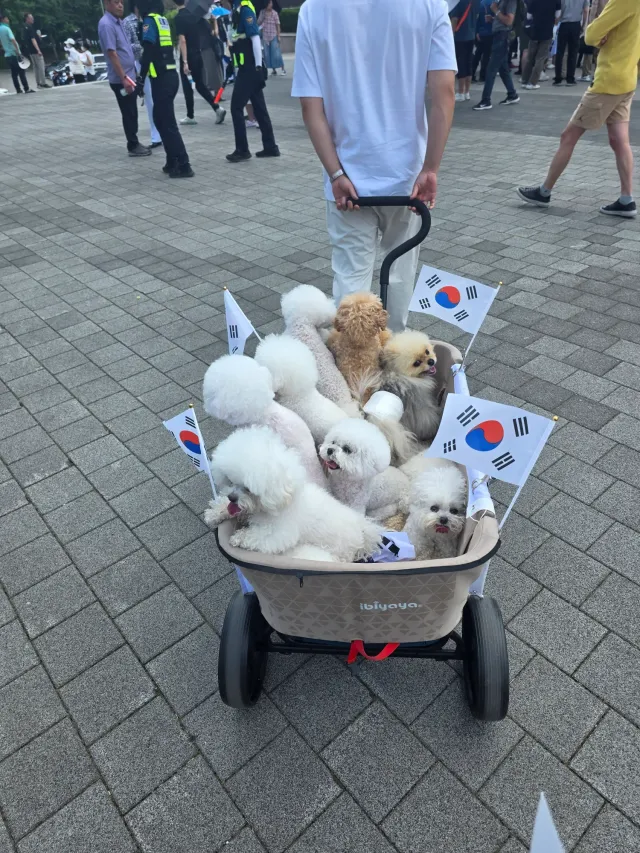 그래도 난 올공 계속 가긴 갈거야..
힘들어도 이런 소소한 힐링도 있긴해..
