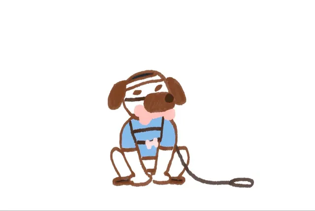 누가 잠실에 개풀어놧냐~~~~~!!!!!!!! https://t.co/09ZOyqiDoE
