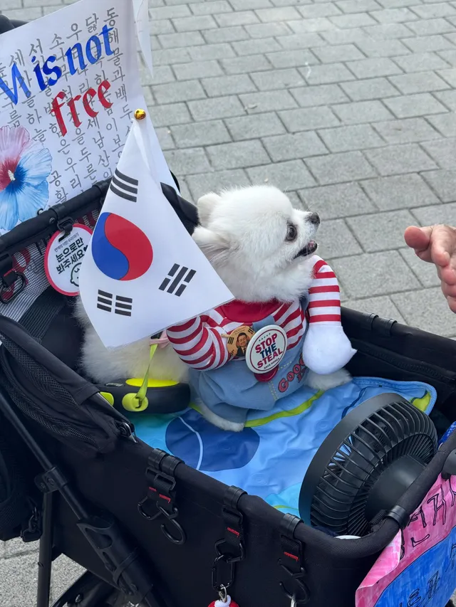현재 올림픽공원 핸드볼경기장에
애국 강아지가 구호외치는중(멍멍, 왈왈)▓