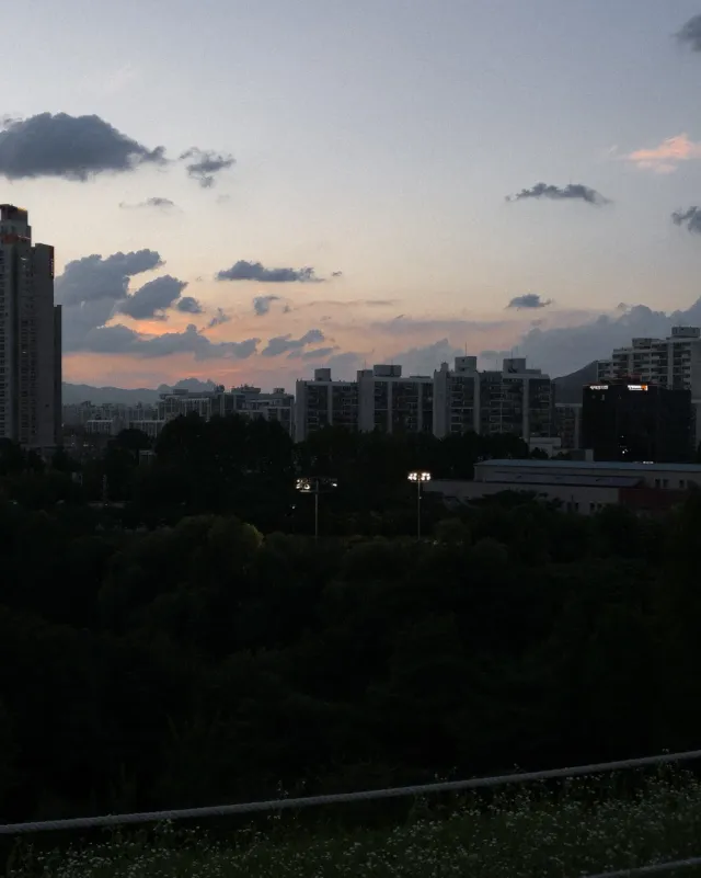 서울 속 여유와 낭만의 순간

📍올림픽공원