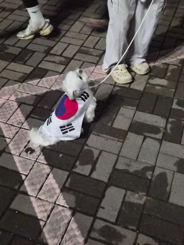멸공🇰🇷🐶