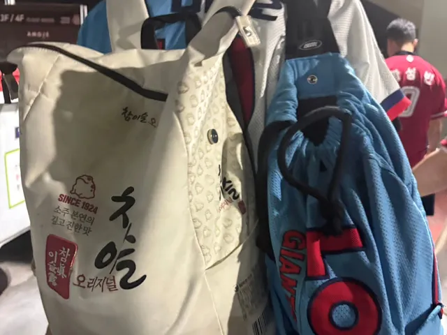 1승2패 였지만 즐거웠던 롯데vs두산 주중 잠실 3연전

올시즌 또 잠실 갈지 모르겠네

추억이 너무 많은 잠실야구장 안녕!