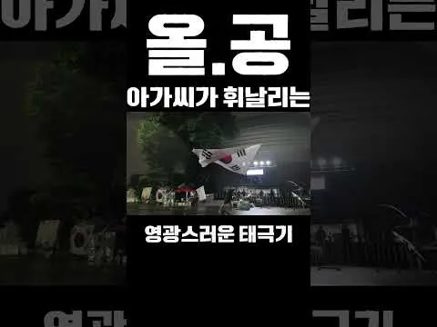 #태극기휘날리며 #jamsil #movement ##republicofkorea #freedomisnotfree  #잠실 #민주화운동 #자유민주