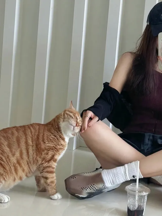 나 얘 데리고 올공 가고 싶은데..
어쩌지.....👉🏻👈🏻

같이 분리수거 하러 갈래?ㅋㅎ
다녀올게🫡