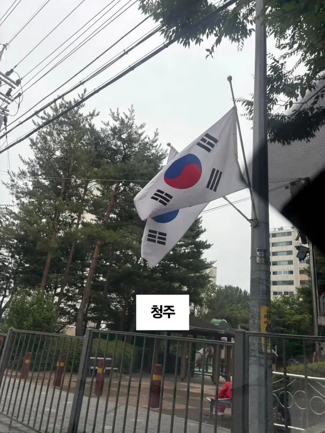 제헌절 태극기🇰🇷자유를 지킬것인가? 다가올 미래 노예를 받아들일것인가
#electionfraud #MAGA #부정선거 #하이브리드 #전쟁