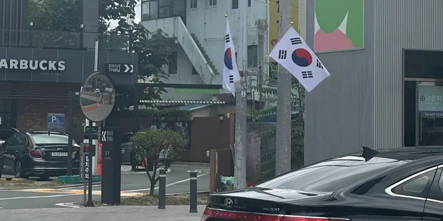 도로에 왜 태극기가 휘날리고 있나요..?🥹
어… 한군데가 아니네?!!

태극기가 길가에 휘날리기 시작했나봐요.

참정권 박탈 / 헌법질서 파괴