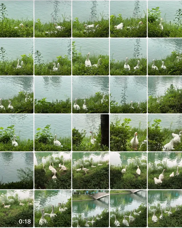 내가 제일 좋아하는 7월 올림픽공원🌿✨