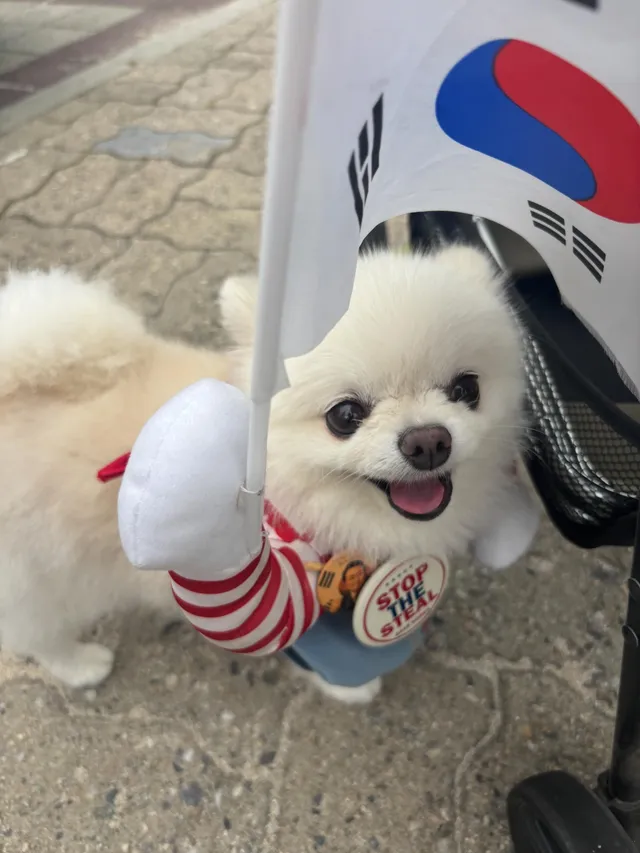 올공 와야지🇰🇷