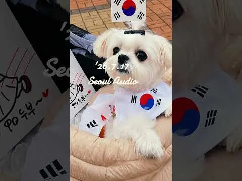 올공 mini vlog 2ㅣ2026.7.17 올공데이 스케치 #올림픽공원 #올공