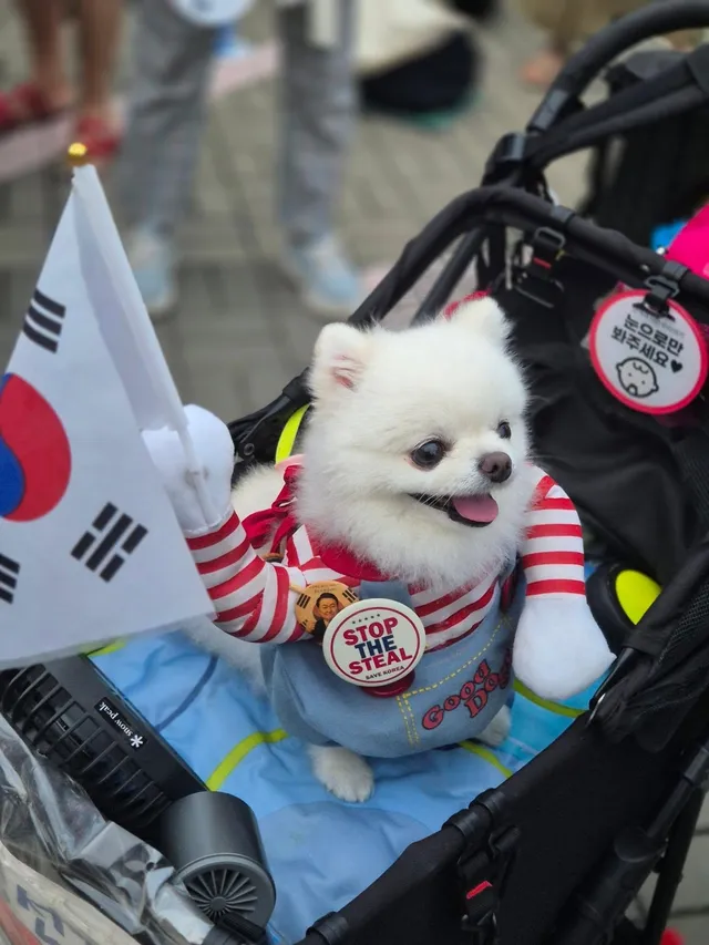 (26.07.17 잠실민주화운동 in 올공) 

귀여운 애국 댕댕이들
🐶🇰🇷