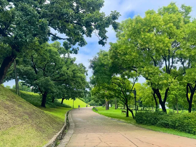 #🌳

올림픽공원 🚶‍♀️
