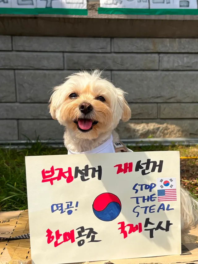 올공 가야지🇰🇷🎶