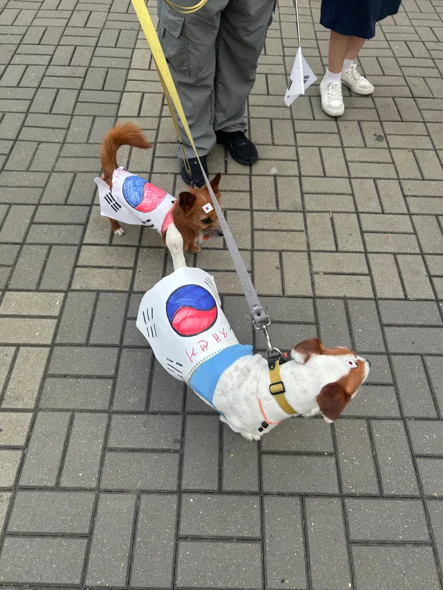 엄마랑 같이 올림픽공원!
재선거!🇰🇷🇰🇷🇰🇷