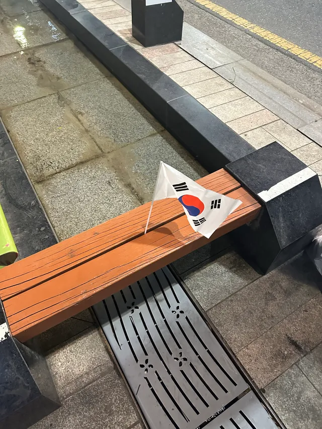 집에 가는 길에
혼자있는 태극기가 불쌍해서
데려왔다.