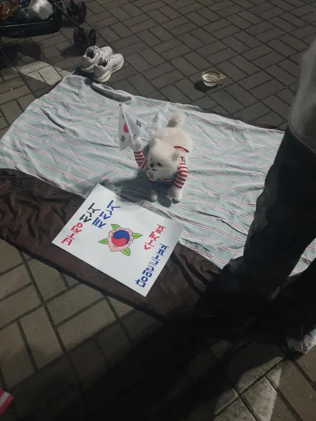 잠실에서 밤샘 이상