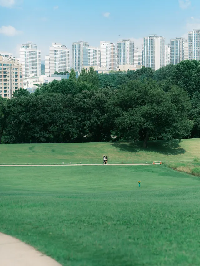 26.07.24 나홀로나무, 올림픽공원
Fujifilm GFX100S/GF110 F2 R LM WR
Classic negative
#나홀로나무 