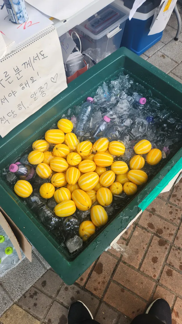 2-5 실시간 참외 등장